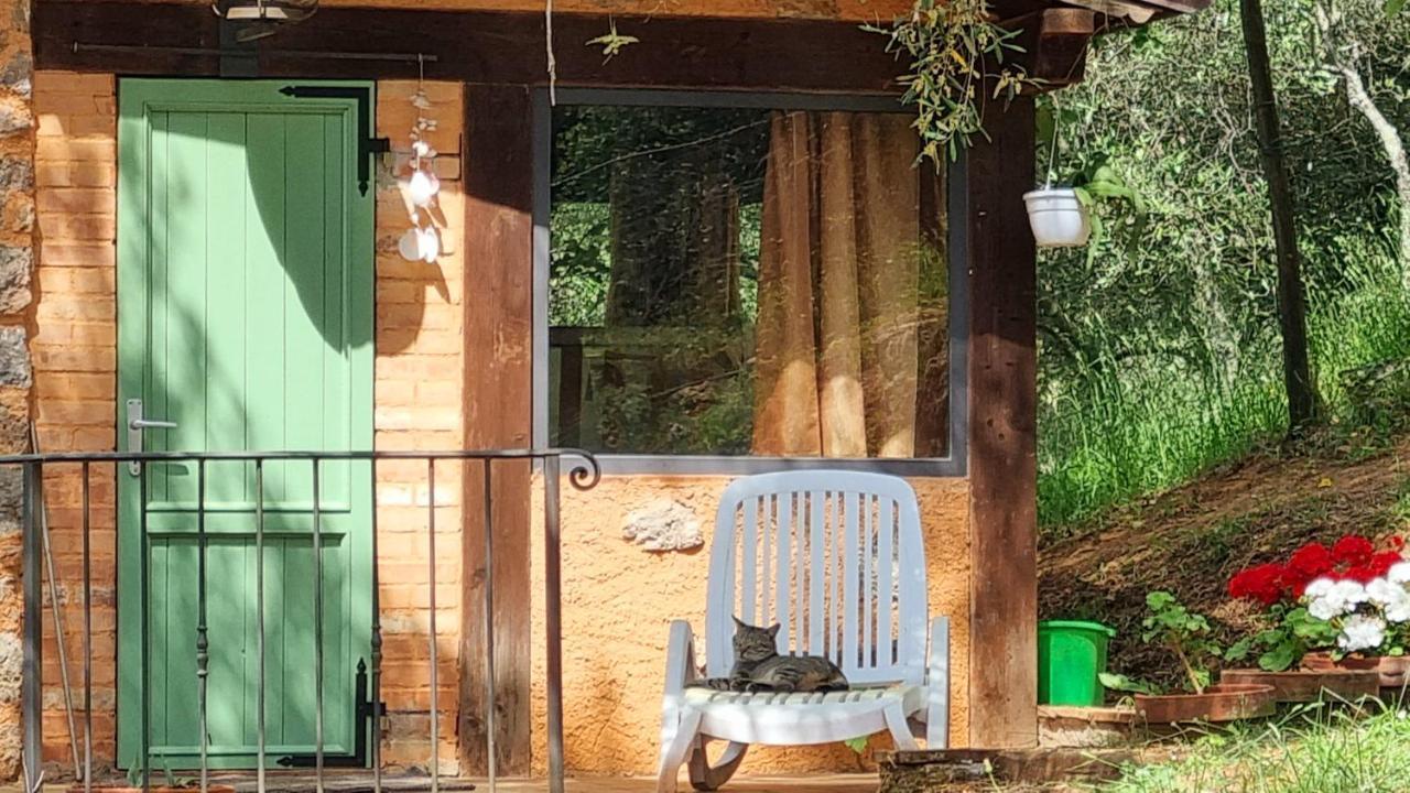 La Merla Del Tasso カマイオーレ エクステリア 写真